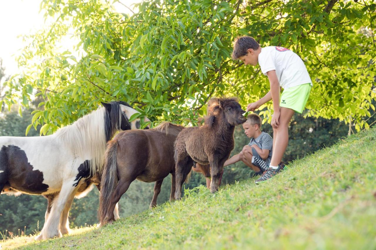 Familienbauernhof Samerhof Pfarrwerfen Ngoại thất bức ảnh