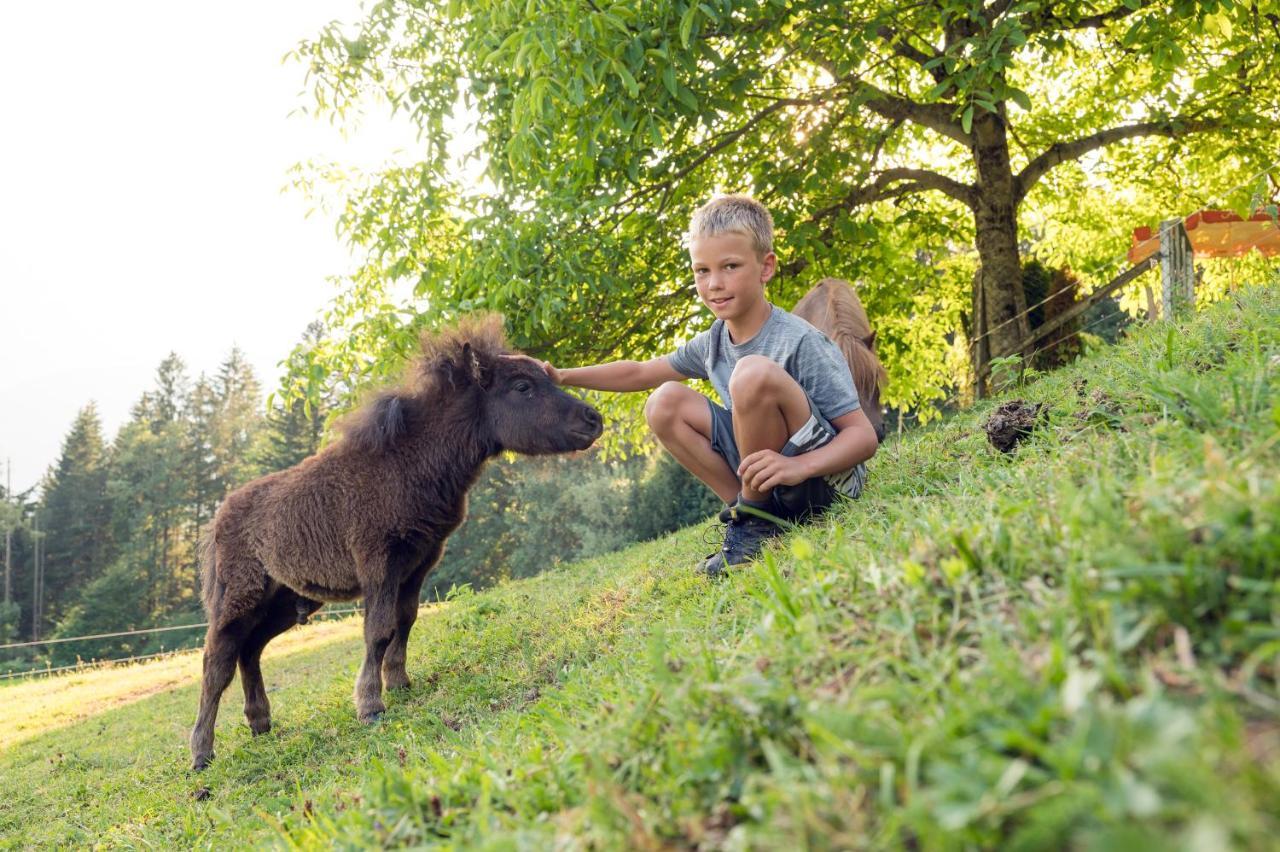 Familienbauernhof Samerhof Pfarrwerfen Ngoại thất bức ảnh